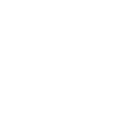 Lazada